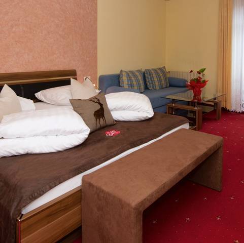 Camera standard Arnica